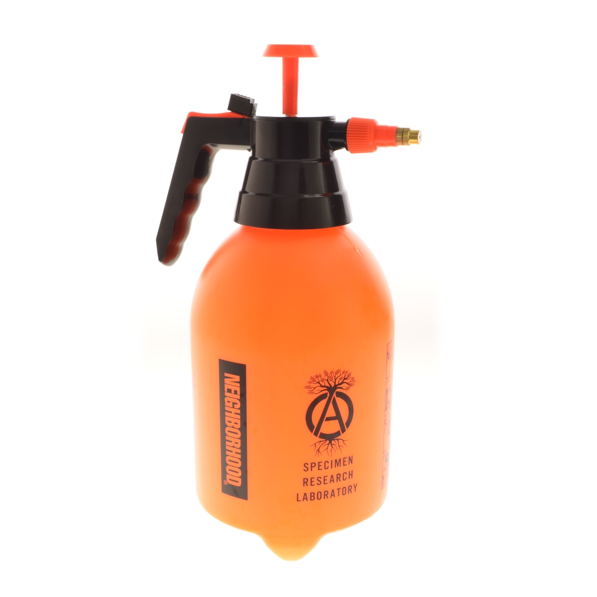 グラキリス srl neighborhood 超美形 Pachypodium gracilius