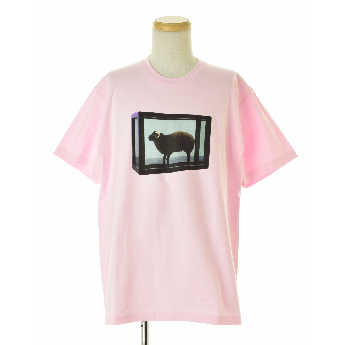 ブランド古着】SUPREME / シュプリーム 25SS Damien Hirst Tee Light  